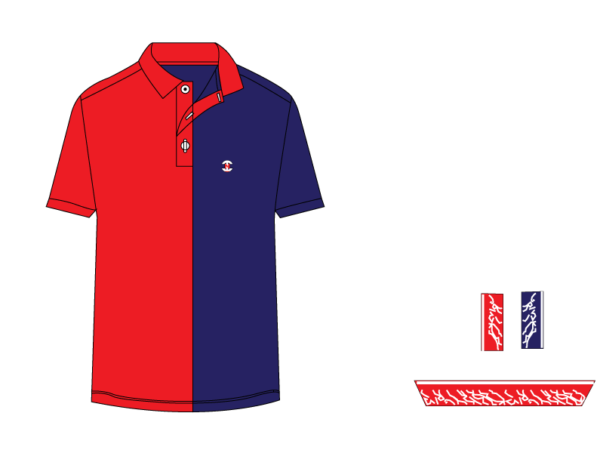 Designer Edition _ Men’s Urban Flow Polo Shirt, Color: Wine/Navy