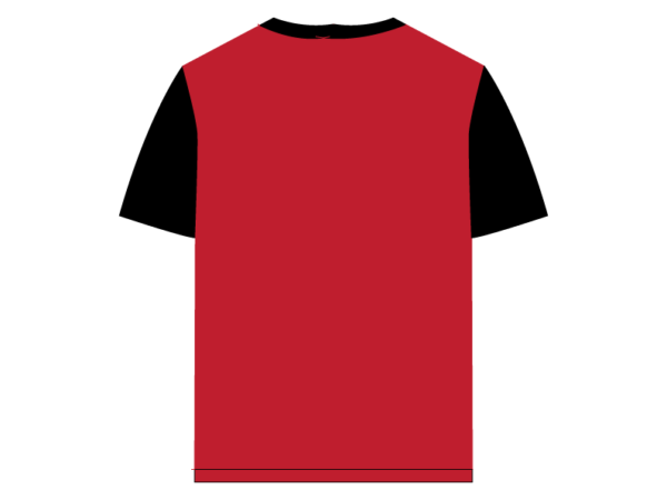 Iconic Edition _ Men’s Retro Drop Shoulder T-Shirt, Color: Garnet Red/Shadow Black