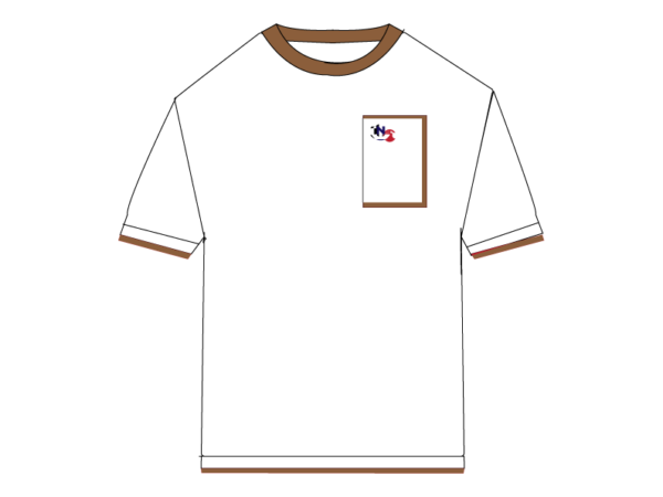 Iconic Edition _ Men’s Retro Drop Shoulder T-Shirt, Color: Pearl White